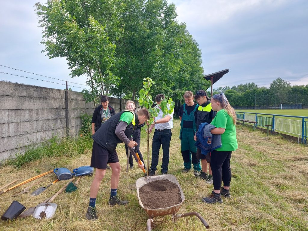 Facsemeték szervezett ültetése Muzslán